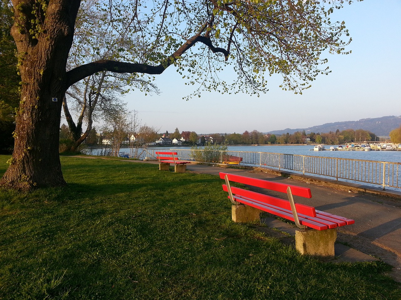 英超战报：田中碧建功、勒温锁胜局，利兹联3-1切尔西