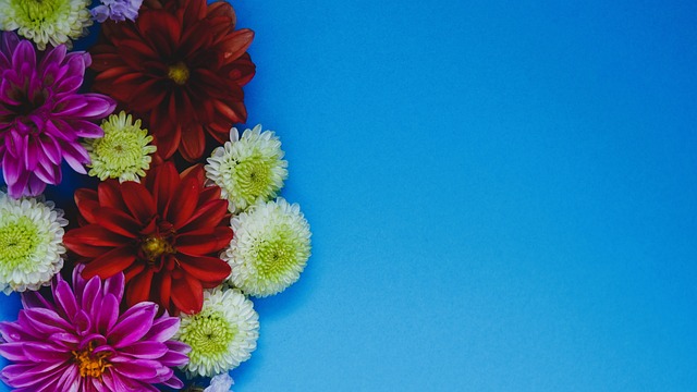 篮球火箭新秀当选周最佳新秀